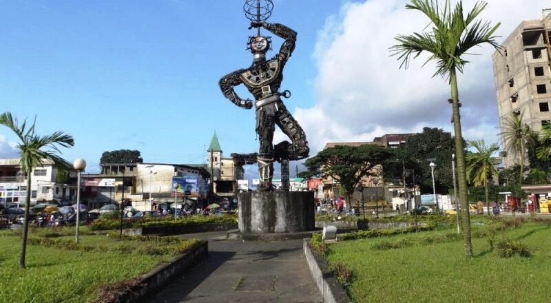 La Nouvelle Liberté  - Douala Cameroun